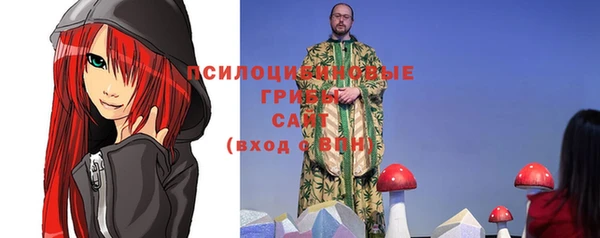 прущие грибы Алексеевка