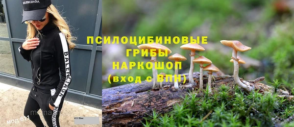 таблы Сосновоборск