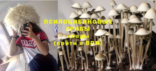 шишки Алзамай