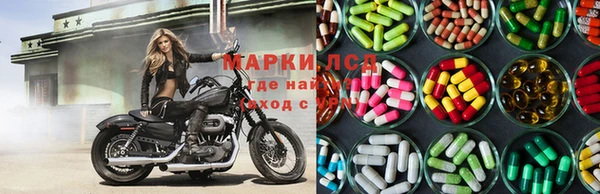 шишки Алзамай